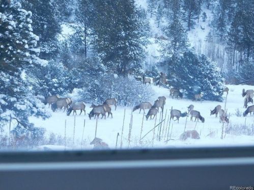 3555 Buckhorn Ln, Canon City CO 81212-8229 exterior