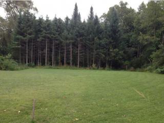 12 Excelsior St, Lebanon, NH 03766-1168