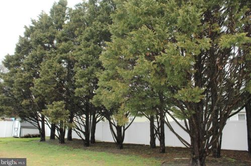 303 Main St, Fruitland MD 21826-1945 exterior