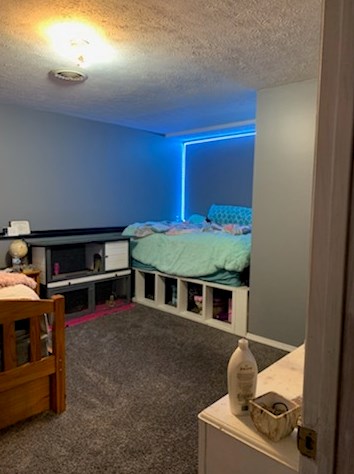 126 Diller St, Swygert IL  61764-2704 exterior