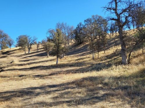 2816 Lodoga Stonyford Rd, Sites, CA 95979-9717