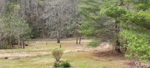 155 Nugget Ter, Ellijay, GA 30540-5130