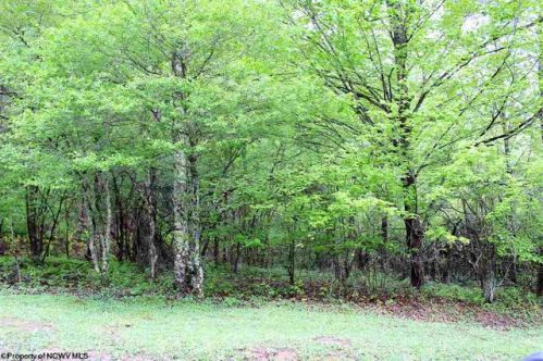 30 Cherry Ridge Rd, Dryfork WV  exterior