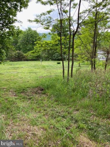 33 Blueberry Ln, Franklin WV  26807-8053 exterior