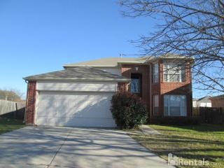 8312 Orleans Ln, Fort Worth TX  76123-1633 exterior