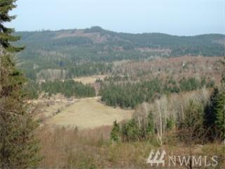 50004 146th Ave, Alder, WA 98328-7476