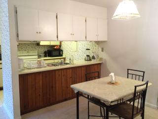 232 Finley Forest Dr, Chapel Hill NC  27517-8690 exterior