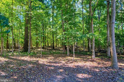 14 Stratford Garden Ct, Silver Spring MD 20904-1560 exterior