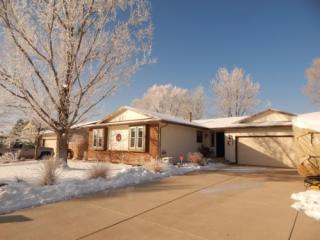 4237 Blueflax Dr, Pueblo CO  81001-1105 exterior