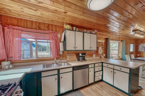 3002 Hwy 91, Leadville CO 80461-9712 exterior