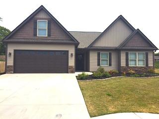 109 Queensland Ct, Fountain Inn SC  29644-1767 exterior