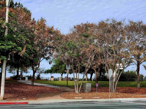 900 Norella St, Chula Vista, CA 91910-7816