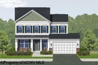 313 Double Eagle Ln, Core WV  26541-8190 exterior