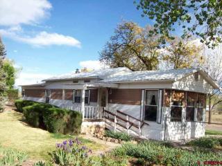 9870 Horseshoe Ln, Orchard City CO  81410-8223 exterior