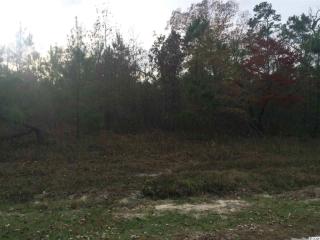 1613 Oak Lawn Dr, Aynor, SC 29511-2859