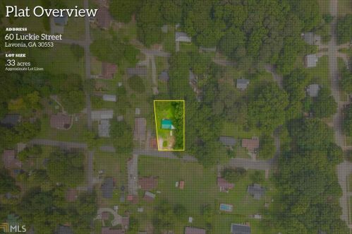 60 Luckie St, Lavonia, GA 30553-1364