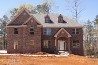 12319 Coldstream Ct, Hampton, GA 30228-6500
