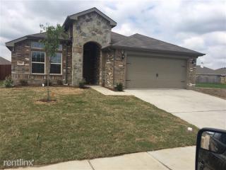 2808 Adams Fall Ln, Fort Worth TX  76123-1672 exterior