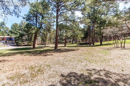 17485 Chipped Arrow Way, Woodmoor CO 80132-8505 exterior