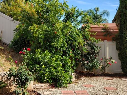 9464 Calico Trl, Riverside CA  92508-6836 exterior