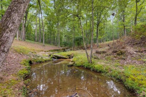 350 Gum Creek Rd, Ephesus, GA 30170-2830