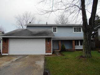 6917 Sun Drop Ave, Downers Grove IL  60517-2004 exterior