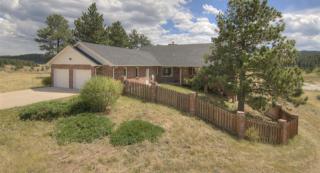 46 Bull Dogger Ct, Bailey, CO 80421-2347