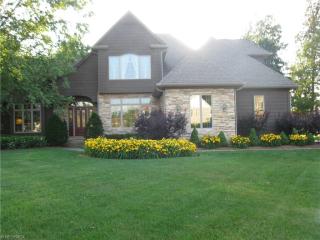 7390 Mountain Quail Pl, Concord Township OH  44077-9339 exterior