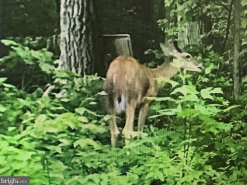 7703 Gnatstown Rd, Hanover PA 17331-6821 exterior