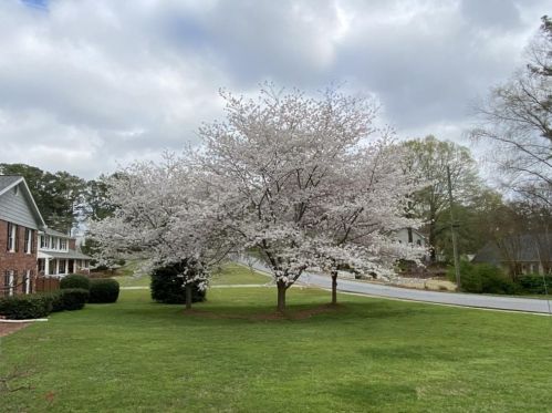 657 Bouldercrest Dr, Marietta, GA 30064-3355