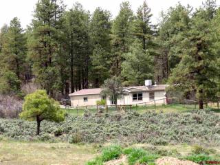 1978 Gem Ln, Vallecito, CO 81122-9320