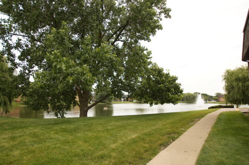 9411 Bay Colony Dr, Des Plaines IL  60016-3668 exterior