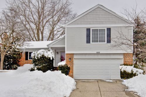 107 Lilac Ln, Buffalo Grove, IL 60089-1847