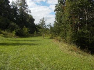 5 Holly Hills Dr, Evans, WV 25241-9625