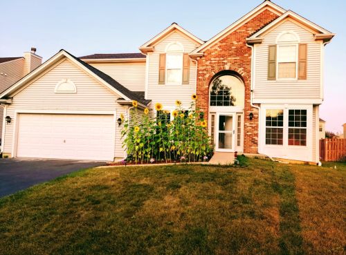 243 Clubhouse St, Lemont, IL 60490-2058