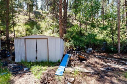 408 Platte Riv Rd, Deckers CO 80135-9225 exterior