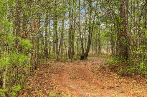 4488 Pond Town Rd, Brunson SC  29911-3801 exterior