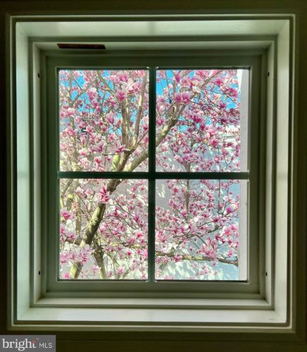 502 22nd St, Philadelphia PA 19146-1247 exterior