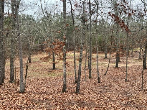 312 Brier Patch Ln, Burnettown SC  29851-2625 exterior