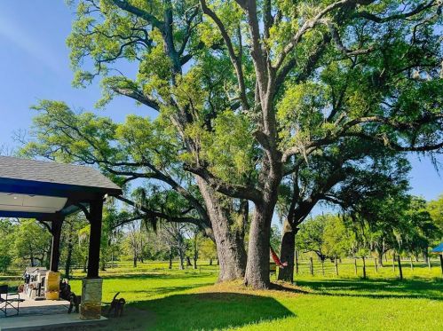 21611 Chenango Lake Dr, Angleton TX 77515-6664 exterior