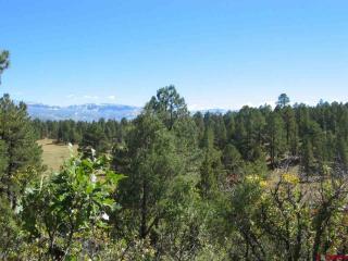 188 White Tail Ln, Ridgway, CO 81432-9488