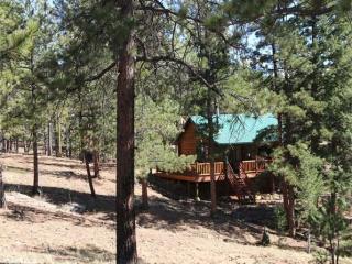 44 Durelli Dr, Deckers, CO 80135-9714