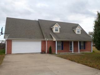 380 Bloomington Dr, Brighton, TN 38011-5028