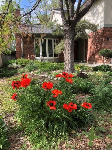 12647 Bates Cir, Aurora CO 80014-3315 exterior