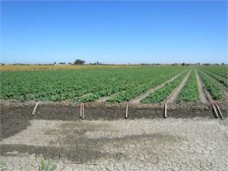 2221 Canal Blvd, Tracy, CA 95304-9506