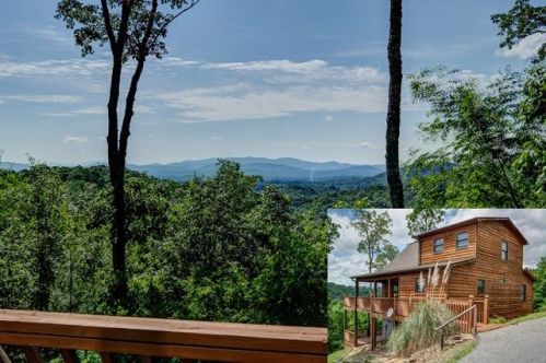 40 Crabapple Ln, Unaka, NC 28906-6240