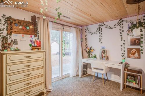 411 Evergreen Cir, Woodland Park CO 80863-2393 exterior