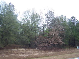 2063 Broome Rd, Hephzibah, GA 30815-4244