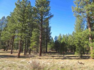 348 Smith Creek Rd, Cromberg, CA 96103