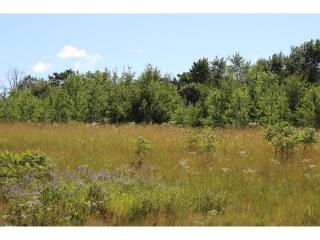 25777 102 1/2 St, Zimmerman, MN 55398-4732